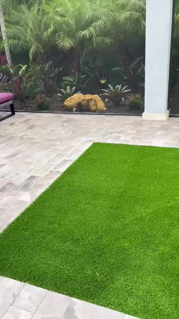 Travertine lanai with paver flooring and a turf inlay under a screen enclosure